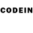 Псилоцибиновые грибы GOLDEN TEACHER cooldicone,Scp 049