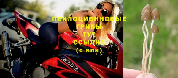 прущая мука Корсаков