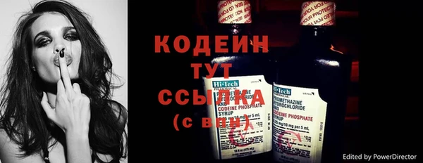прущая мука Корсаков