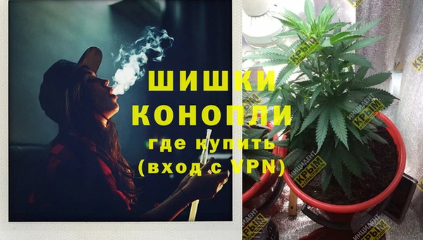 шишки Костерёво