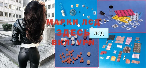 шишки Костерёво